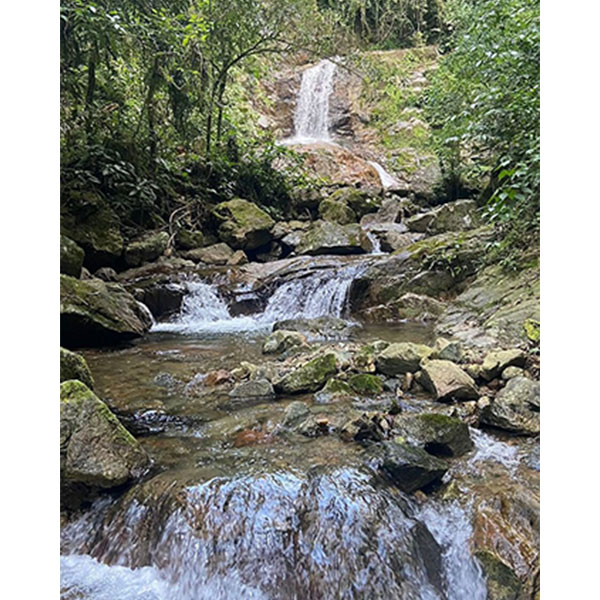 Recanto das Nascentes Divinas